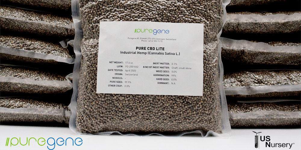 Puregene Pure CBD Lite seeds in a labeled bag.