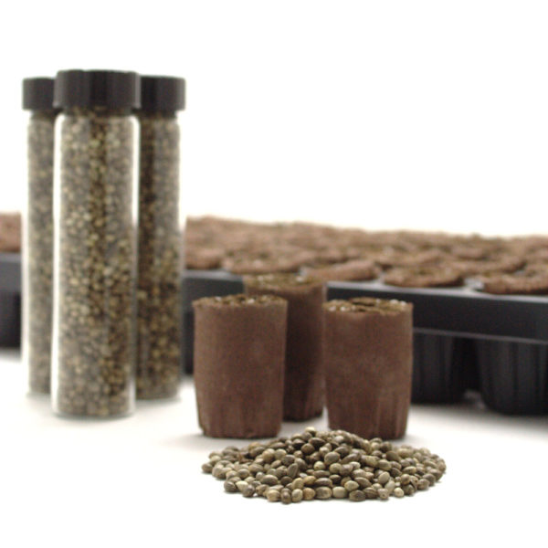 Germination Starter Kit US Nursery