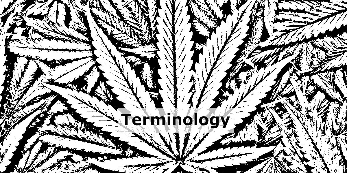 black and white hemp leaf with the word "Terminology" in the middle.