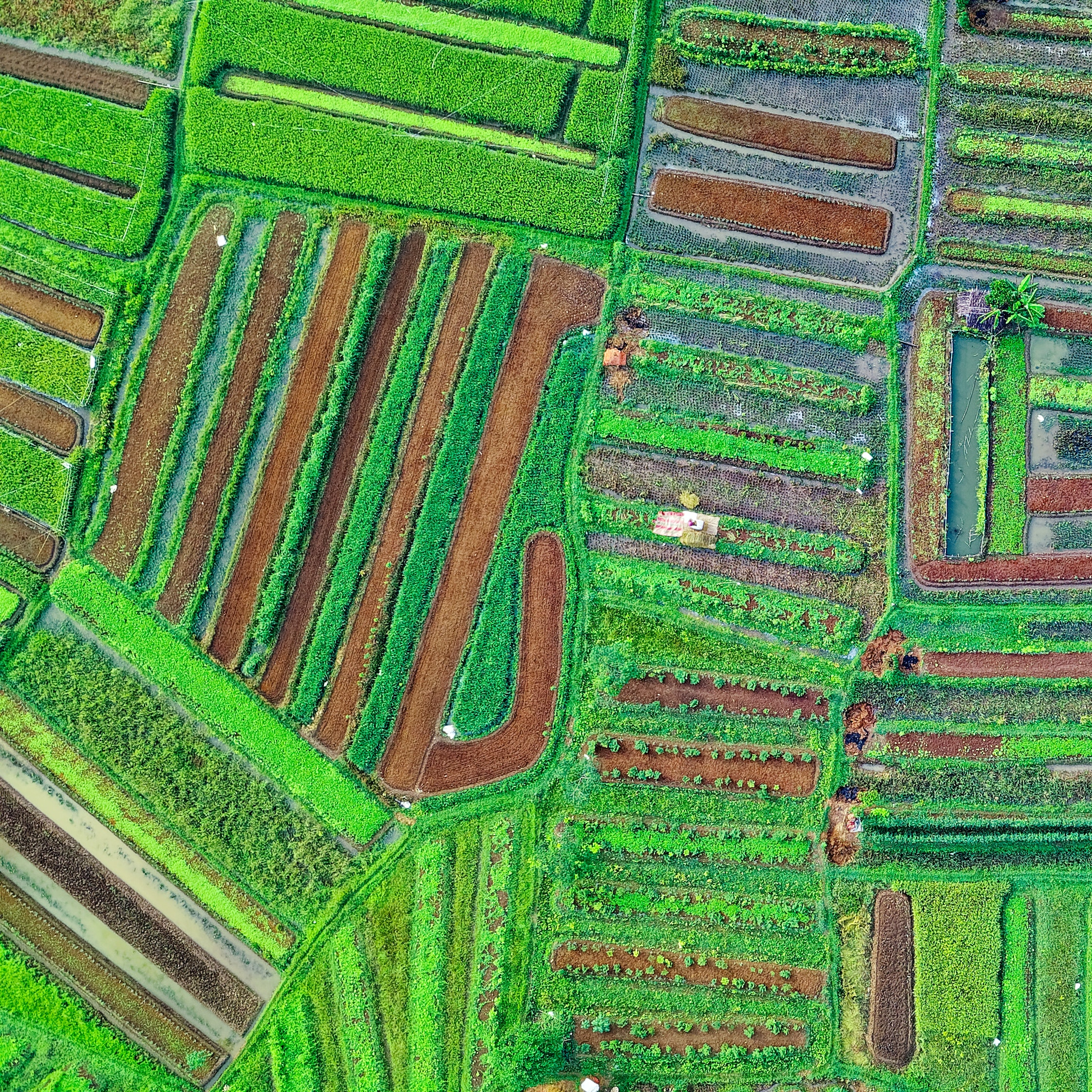 Sky view of farm fields