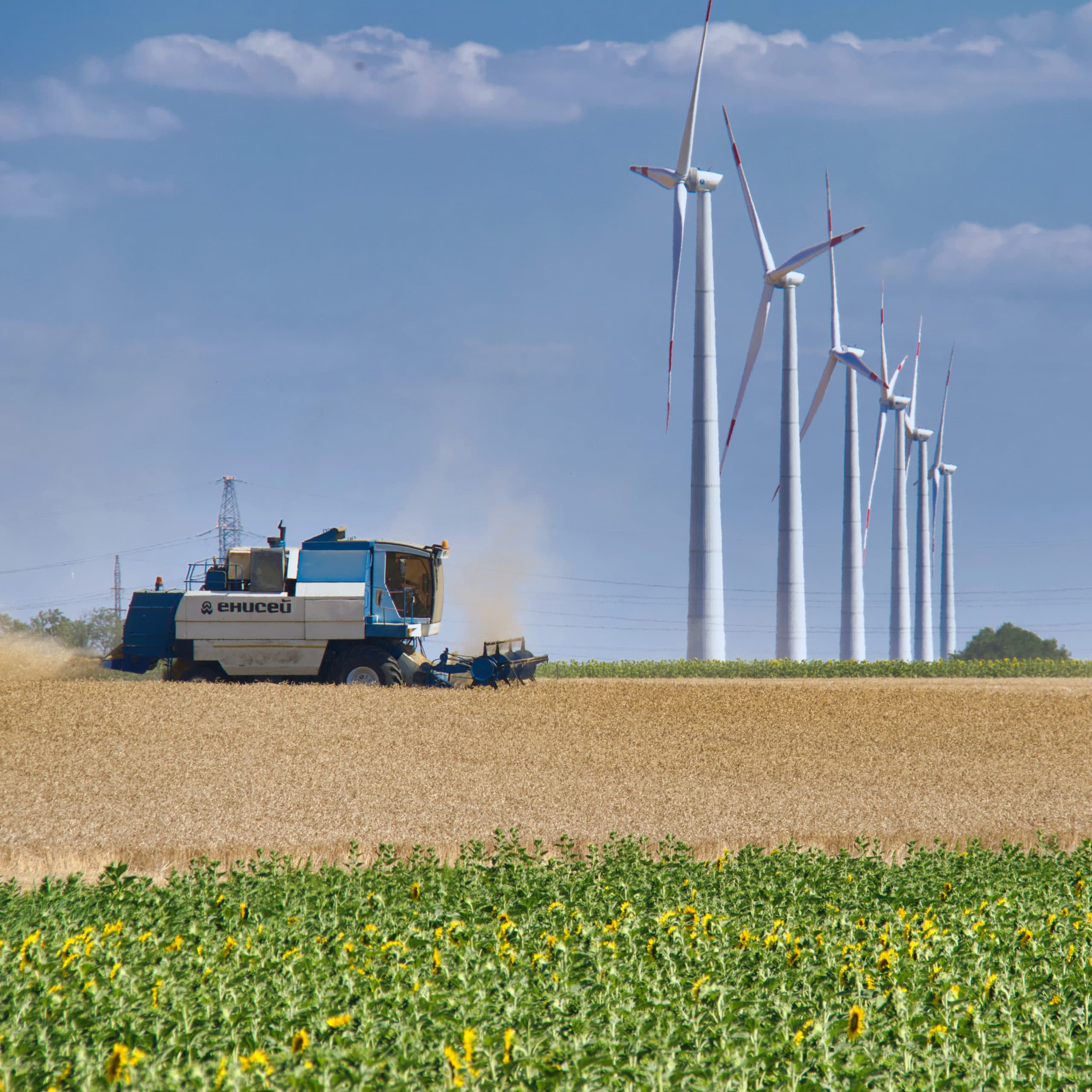 Tractor in a field.